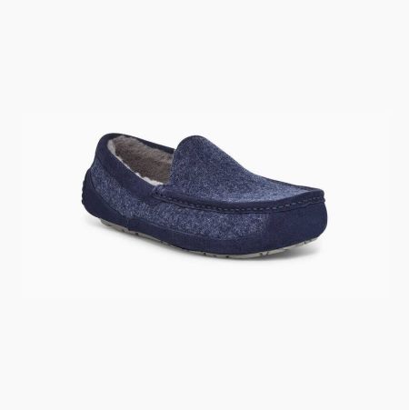 UGG Ascot Wool - Tøfler Herre - Mørke Blå (NO-T429)